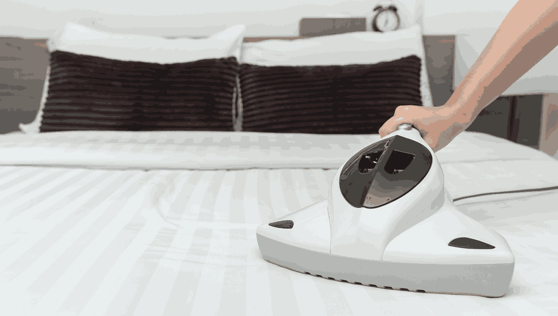 Professional Mattress Cleaning Carnegie